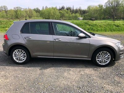 gebraucht VW Golf 1,6 TDi Cup