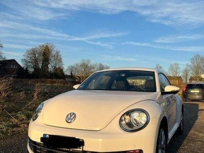VW Beetle