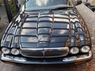 Jaguar XJ8