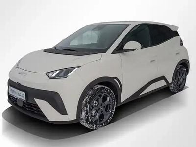 Neu BYD Dolphin Comfort 114 kW (156 PS) 2026 Beige Kleinwagen