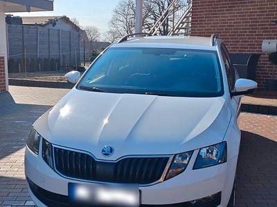 Gebraucht Skoda Octavia Ambition 150 PS (110 kW) 2019 Weiß Kombi