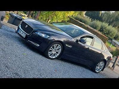 Gebraucht Jaguar XF Pure 163 PS (119 kW) 2016 Blau Limousine