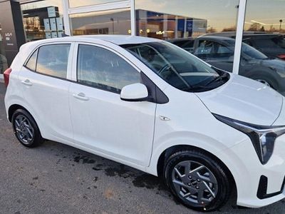 Neu Kia Picanto Vision 67 PS (49 kW) 2026 Weiß Kleinwagen