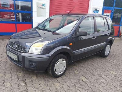 Gebraucht Ford Fusion Style 101 PS (74 kW) 2009 Royalgrey Kleinwagen