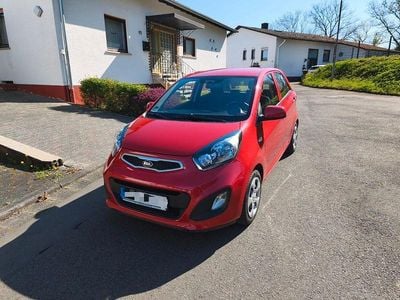 Usata Kia Picanto Spirit 67 CV (49 kW) 2014 Rosso Utilitaria