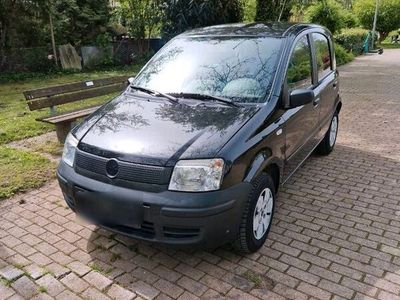 gebraucht Fiat Panda guter Zustand