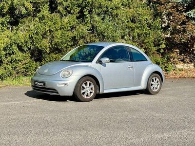 VW Beetle