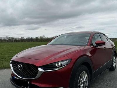 Gebraucht Mazda CX-30 Selection 180 PS (132 kW) 2020 Rot SUV
