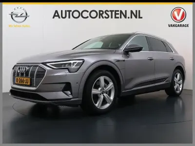 Gebraucht Audi e-tron Business 230 kW (313 PS) 2020 Grau SUV