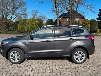 Usata Ford Kuga Titanium 182 CV (133 kW) 2017 Grigio SUV