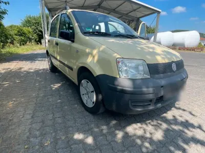 Gebraucht Fiat Panda 54 PS (39 kW) 2009 Gelb Kleinwagen