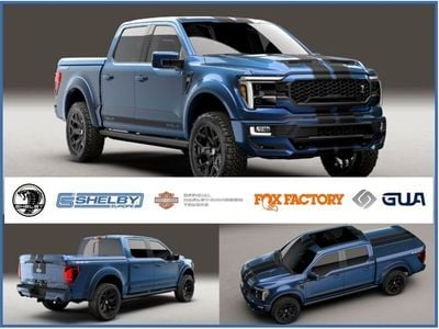 Blau Gebraucht 2024 Ford Shelby SUV | 189.900 €