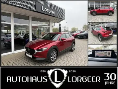 Używany Mazda CX-30 Selection 116 KM (85 kW) 2020 Czerwony SUV