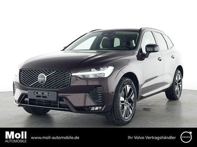 Gebraucht Volvo XC60 Plus 250 PS (183 kW) 2025 Violett SUV