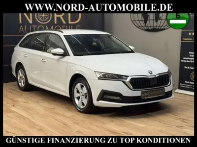 Gebraucht Skoda Octavia