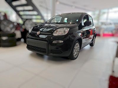 Neu Fiat Panda 69 PS (50 kW) 2025 Schwarz Limousine