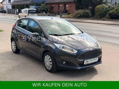 Gebraucht Ford Fiesta Titanium 101 PS (74 kW) 2013 Grau Kleinwagen