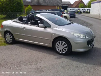Gebraucht Peugeot 307 CC Sport 140 PS (102 kW) 2009 Grau Cabrio