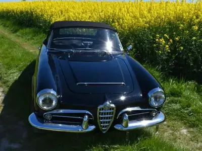 Gebraucht Alfa Romeo Giulia Spider 110 PS (80 kW) 1964 Schwarz Cabrio