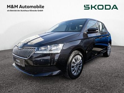 gebraucht Skoda Fabia 1.0 Cool Plus KLIMA FSE BT ZV DAB