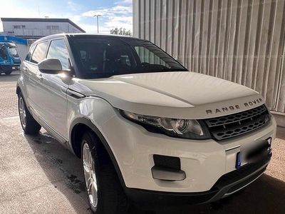 Gebraucht Land Rover Range Rover evoque Pure 150 PS (110 kW) 2014 Weiß SUV
