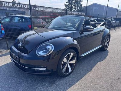 VW Beetle