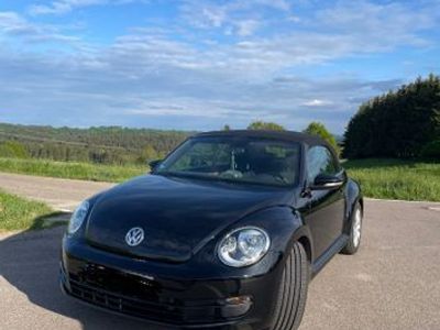 VW Beetle