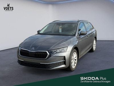 Gebraucht Skoda Octavia Selection 150 PS (110 kW) 2025 Grau Kombi