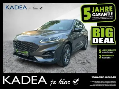 Gebraucht Ford Kuga ST-Line X 224 PS (164 kW) 2022 Grau SUV