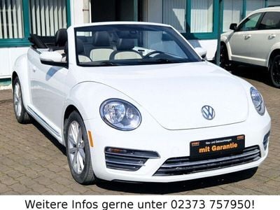 VW Beetle