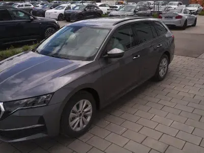 Gebraucht Skoda Octavia Business Line 150 PS (110 kW) 2025 Graphitgrau metallic Kombi