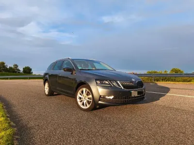 Gebraucht Skoda Octavia Style 150 PS (110 kW) 2017 Grau Kombi
