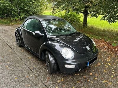 VW Beetle