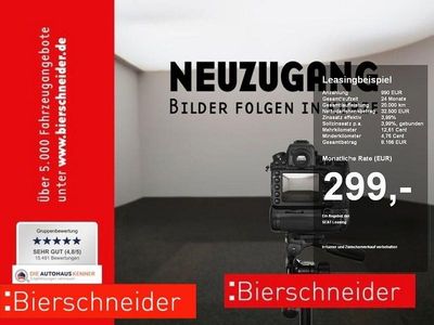 Grau Gebraucht 2025 Cupra Terramar SUV | 33.850 € (Guter Preis)