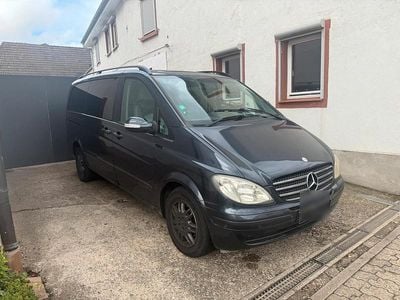 Mercedes Viano