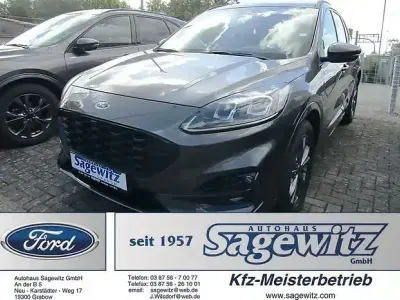 Gebraucht Ford Kuga ST-Line X 150 PS (110 kW) 2023 Silber SUV