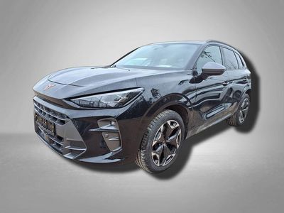 Usata Cupra Terramar VZ 265 CV (194 kW) 2025 Grigio SUV