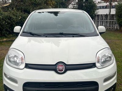 Gebraucht Fiat Panda 69 PS (50 kW) 2017 Weiß Kleinwagen
