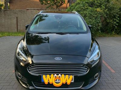 Gebraucht Ford S-MAX Titanium 190 PS (139 kW) 2019 Schwarz Van / Kleinbus