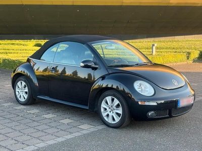 VW Beetle