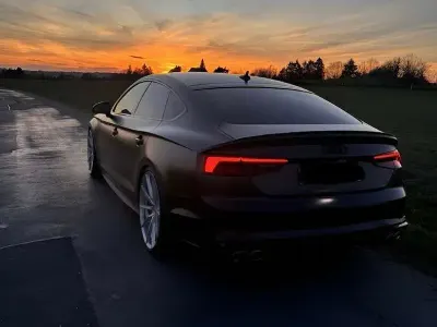 Gebraucht Audi S5 Sportback