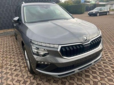 Gebraucht Skoda Kamiq Selection 150 PS (110 kW) 2024 Grau SUV