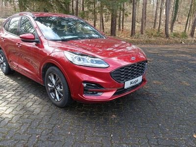 Gebraucht Ford Kuga ST-Line X 150 PS (110 kW) 2024 Rot SUV