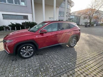 Gebraucht Hyundai Tucson Blackline 150 PS (110 kW) 2023 Rot SUV