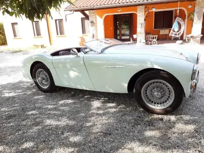 Gebraucht Austin Healey 100 90 PS (66 kW) 1954 Cabrio