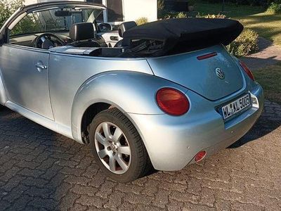 VW Beetle