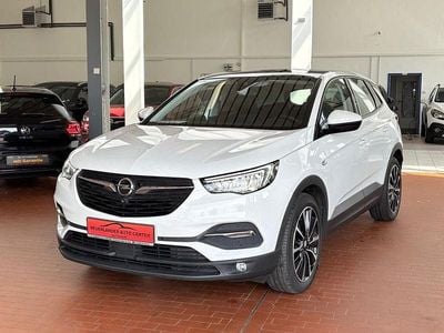 Weiß Gebraucht 2020 Opel Grandland X Business Edition SUV | 16.999 € (Etwas zu teuer)