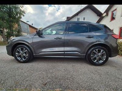Gebraucht Ford Kuga ST-Line X 150 PS (110 kW) 2020 Grau SUV