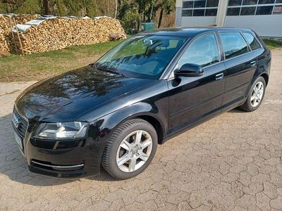 Gebraucht Audi A3 Ambiente 102 PS (75 kW) 2010 Schwarz Kleinwagen