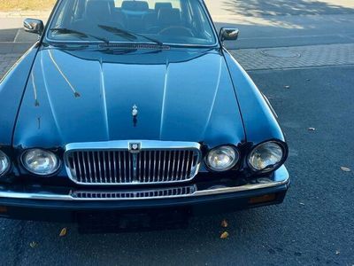 gebraucht Jaguar XJ12 H-Kennzeichen